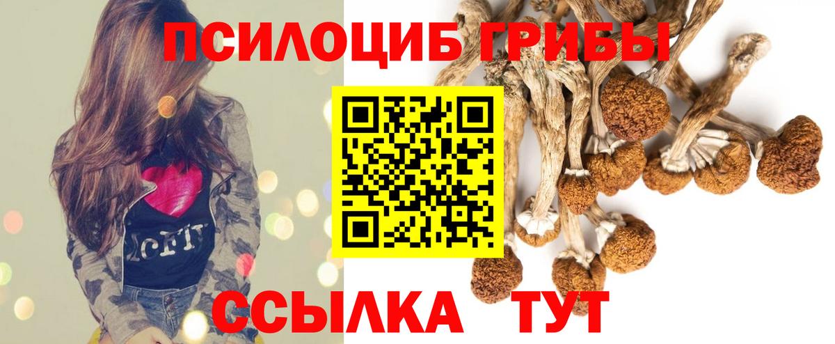 Апрелевка  Псилоцибиновые грибы Magic Shrooms  купить закладку  Вход с VPN 
